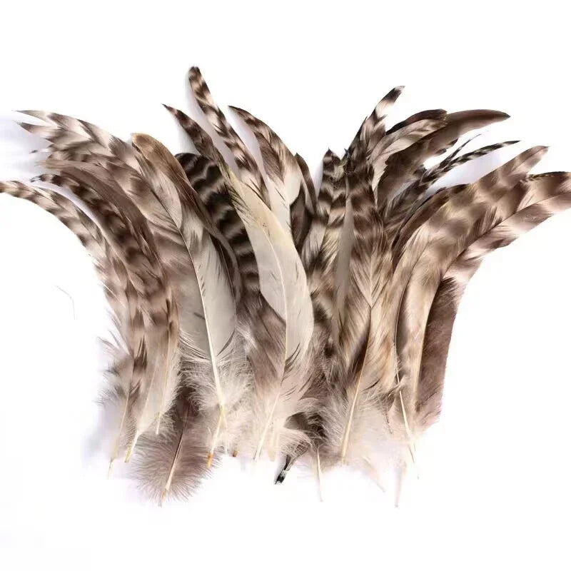 Unique V-shaped pattern pheasant feathers in tan and black, decorative feathers for DIY art projects.
