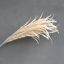 Load image into Gallery viewer, 20stems  40inch fake Silvergrass leaves ,dried botanical，Dried pampas grass flower arrangement，home decor
