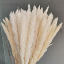 Load image into Gallery viewer, 7stems  18inch dried wedding pampas grass decoration ,dried botanical，Dried pampas grass flower arrangement，home decor
