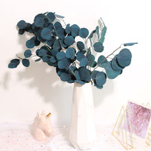Load image into Gallery viewer, dried silver dollar bouquet，dried eucalyptus branches，dried eucalyptus decor，dried flowers arrangement。home decor，wedding eucalyptus decor
