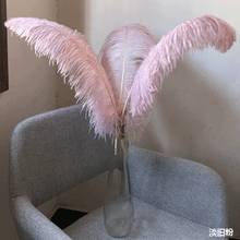 Load image into Gallery viewer, 100 Dusky Pink Ostrich feathers for wedding centerpiece - Dancefeather
