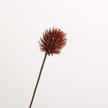 Load image into Gallery viewer, 10pcs/lot dried flowers stem，handmade flower arrangement，home decor
