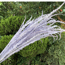 Load image into Gallery viewer, 20stems  40inch fake Silvergrass leaves ,dried botanical，Dried pampas grass flower arrangement，home decor
