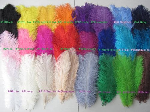 100/lot One color Ostrich feathers for wedding centerpiece DIY Hat Milliery - Dancefeather