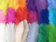 Load image into Gallery viewer, 33Green 34Yellow 33 Purplr mardi gras Drab Ostrich feathers for centerpiece - Dancefeather
