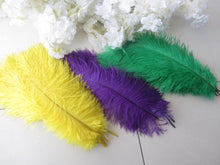 Load image into Gallery viewer, 33yellow 33 green 34 purple Mardi Gras Ostrich feathers for wedding centerpiece - Dancefeather
