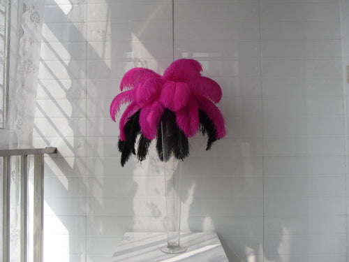 50 Hot Pink & 50 Black Ostrich feathers for wedding centerpiece - Dancefeather