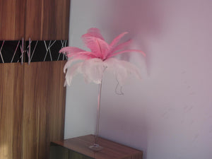 50 Pink and 50 White Ostrich feathers for wedding centerpiece - Dancefeather