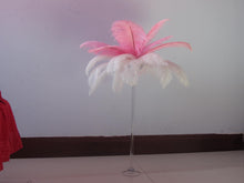 Load image into Gallery viewer, 50 Pink and 50 White Ostrich feathers for wedding centerpiece - Dancefeather
