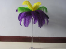 Load image into Gallery viewer, 33Green 34Yellow 33 Purplr mardi gras Drab Ostrich feathers for centerpiece - Dancefeather
