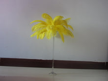 Load image into Gallery viewer, 100Yellow Ostrich feathers for wedding centerpiece - Dancefeather
