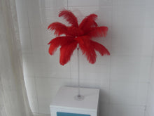 Load image into Gallery viewer, 100 Red Ostrich feathers for wedding centerpiece - Dancefeather
