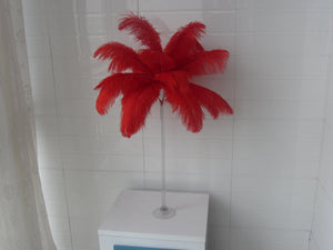 100 Red Ostrich feathers for wedding centerpiece - Dancefeather