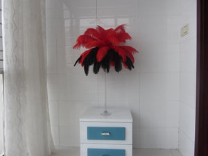 50 Red & 50 Black Ostrich feathers for wedding centerpiece - Dancefeather