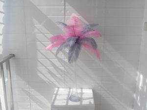 50 Pink & 50 Silver Ostrich feathers for wedding centerpiece - Dancefeather