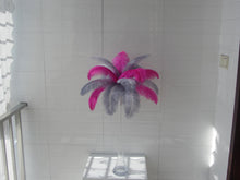 Load image into Gallery viewer, 50 Hot Pink &amp; 50 Silver Ostrich feathers for wedding centerpiece - Dancefeather
