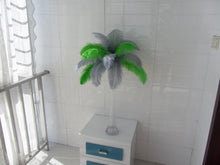 Load image into Gallery viewer, 50 Silver &amp; 50 Green Ostrich feathers for wedding centerpiece - Dancefeather
