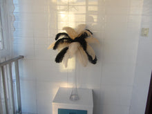 Load image into Gallery viewer, 50 Black &amp; 50 Champag Ostrich feathers for wedding centerpiece - Dancefeather
