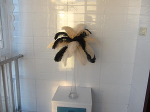 50 Black & 50 Champag Ostrich feathers for wedding centerpiece - Dancefeather
