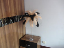Load image into Gallery viewer, 50 Black &amp; 50 Champag Ostrich feathers for wedding centerpiece - Dancefeather
