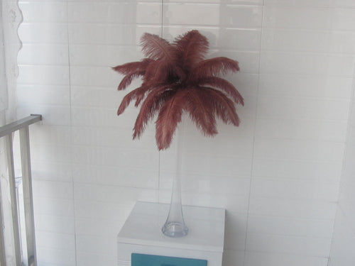 100 Brown Ostrich feathers for wedding centerpiece - Dancefeather