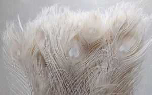 100 10-12inch Ivory /Cream /Offwhite Peacock Feathers for wedding centerpiece - Dancefeather