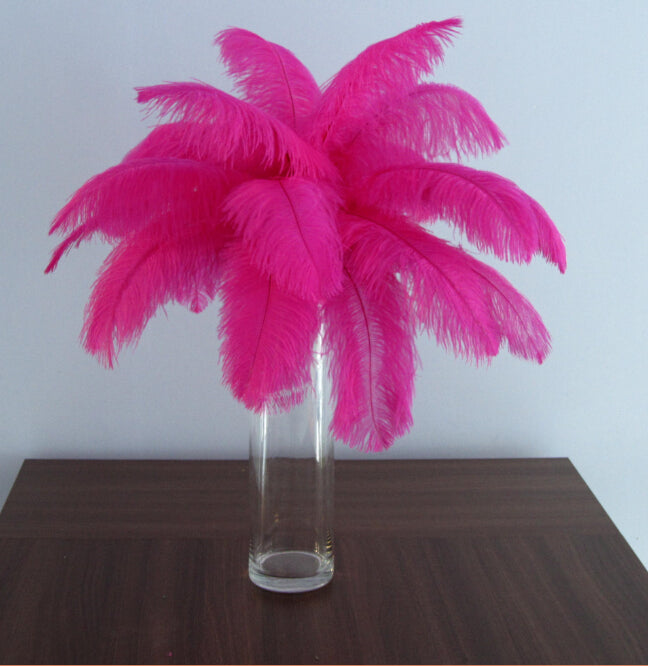 100 Hot Pink Ostrich feathers for wedding centerpiece - Dancefeather