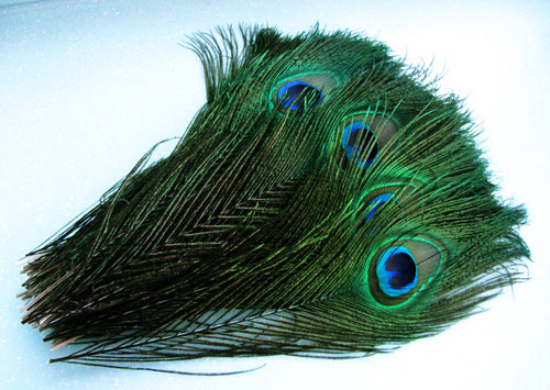 100 10-12inch Peacock Feathers for wedding centerpiece - Dancefeather