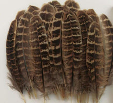 Load image into Gallery viewer, 20pcs 6-8inch Brown Natural Pheasant Feathers for wedding centerpiece home decor
