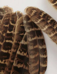 20pcs 6-8inch Brown Natural Pheasant Feathers for wedding centerpiece home decor