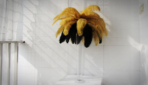 50 Gold & 50 Black Ostrich feathers for wedding centerpiece - Dancefeather