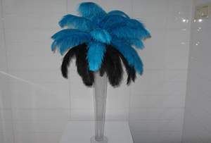50 Turquoise & 50 Black Ostrich feathers for wedding centerpiece - Dancefeather