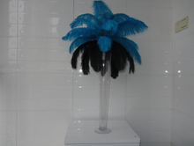 Load image into Gallery viewer, 50 Turquoise &amp; 50 Black Ostrich feathers for wedding centerpiece - Dancefeather
