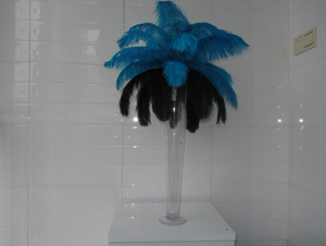 50 Turquoise & 50 Black Ostrich feathers for wedding centerpiece - Dancefeather