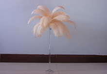 Load image into Gallery viewer, 100 Champagne Ostrich feathers for wedding centerpiece - Dancefeather
