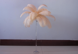 100 Champagne Ostrich feathers for wedding centerpiece - Dancefeather