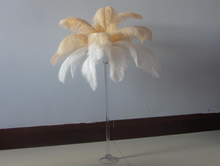 Load image into Gallery viewer, 50 Champagne &amp; 50 White Ostrich feathers for wedding centerpiece - Dancefeather
