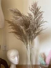 Load image into Gallery viewer, 20inch Grey Natural Large Pampas Grass 20pcs for wedding centerpiece Decoration - Dancefeather
