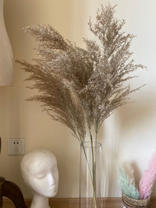 20inch Grey Natural Large Pampas Grass 20pcs for wedding centerpiece Decoration - Dancefeather