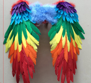 88x90cm Angel Wings costume Cosplay Fairy bird Amazing  Cosplay Game - Dancefeather