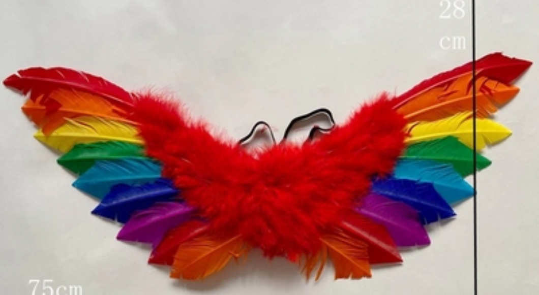 75x28cm Angel Wings costume Cosplay Fairy bird Amazing  Cosplay Game - Dancefeather