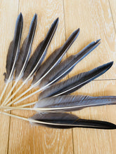 Load image into Gallery viewer, 5PCS 10inch  Grey Quill Feathers  for wedding centerpiece - Dancefeather
