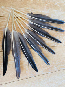 5PCS 10inch  Grey Quill Feathers  for wedding centerpiece - Dancefeather