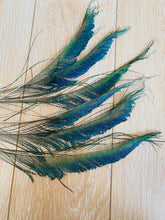 Load image into Gallery viewer, 5PCS 8inch Peacock Feathers Sword for wedding centerpiece - Dancefeather
