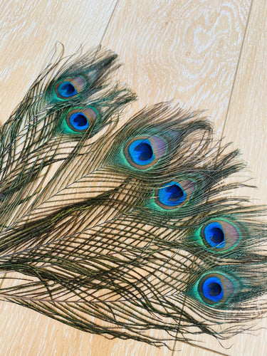 5PCS 10inch Peacock Feathers  for wedding centerpiece - Dancefeather