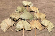 Load image into Gallery viewer, 10stems  14inch dried leaves ,dried botanical，handmade flower arrangement，home decor
