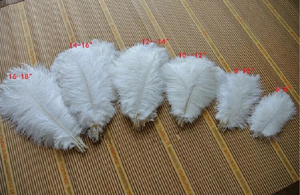 White ostrich feathers in assorted sizes 6-18 inches for dance fans, burlesque props, and bridal accessories